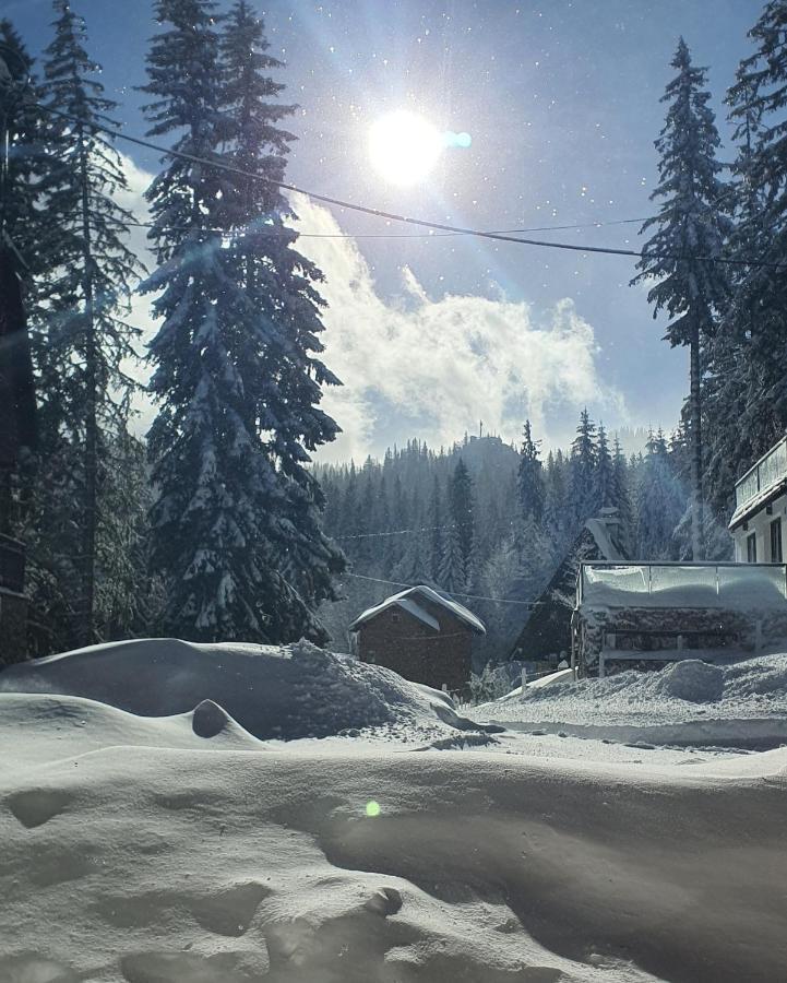 Jahorina Villa In Экстерьер фото